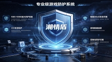 湘情盾 大带宽抗攻击 守护游戏稳定运行 ​顶配游戏高防｜100G-1000G防御方案